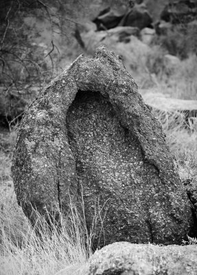 Strange Shelter