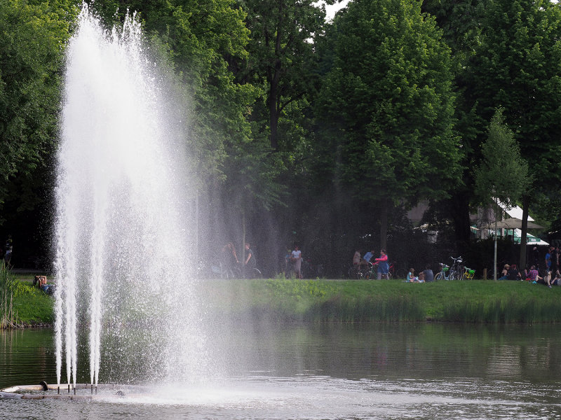 290_OM1B0449.JPG