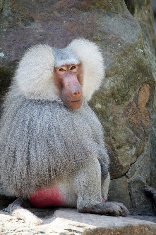 020_F66F3850.JPG