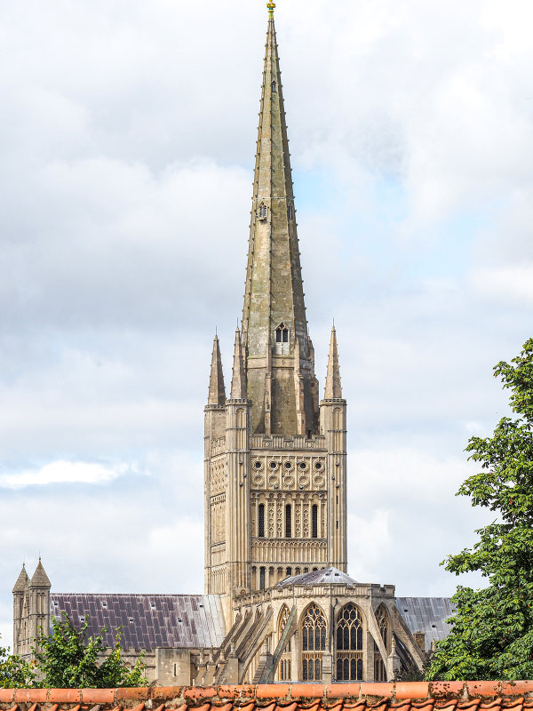 0075_OM301068.JPG