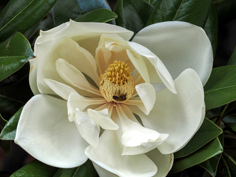 0104_OM301089.JPG