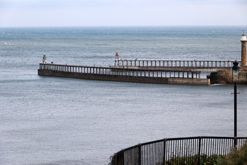 RF066959.JPG