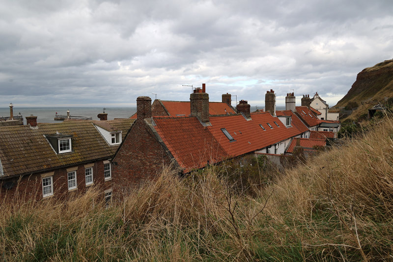 RF067190.JPG