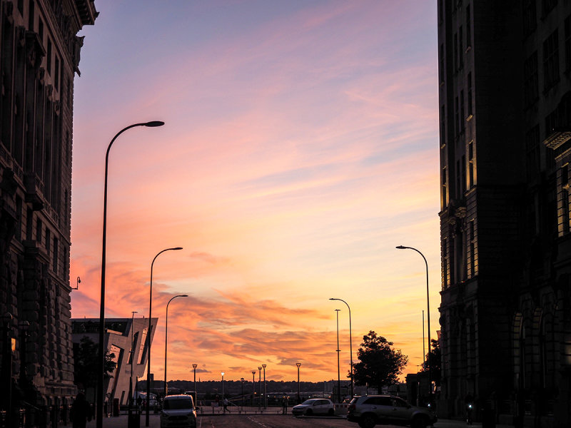 008_OM301520.JPG