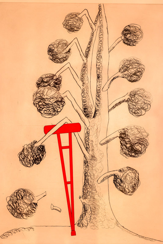 156_RF065055.JPG