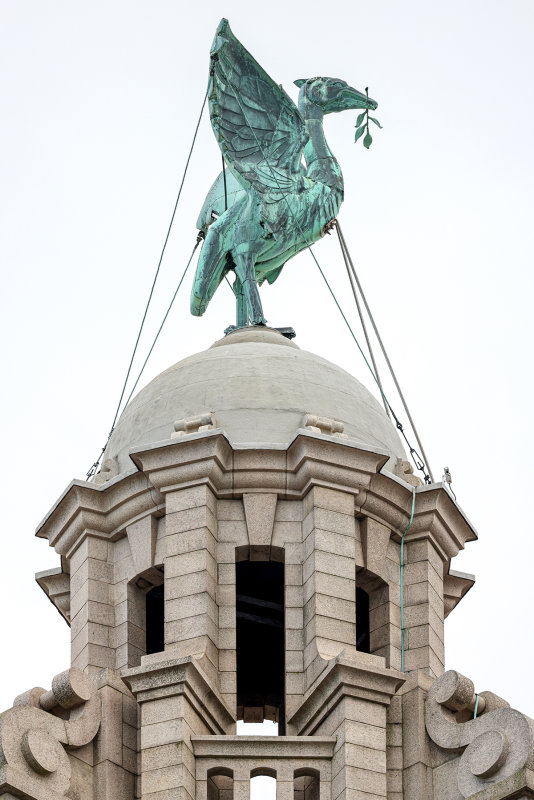 184_R5_L5900.JPG