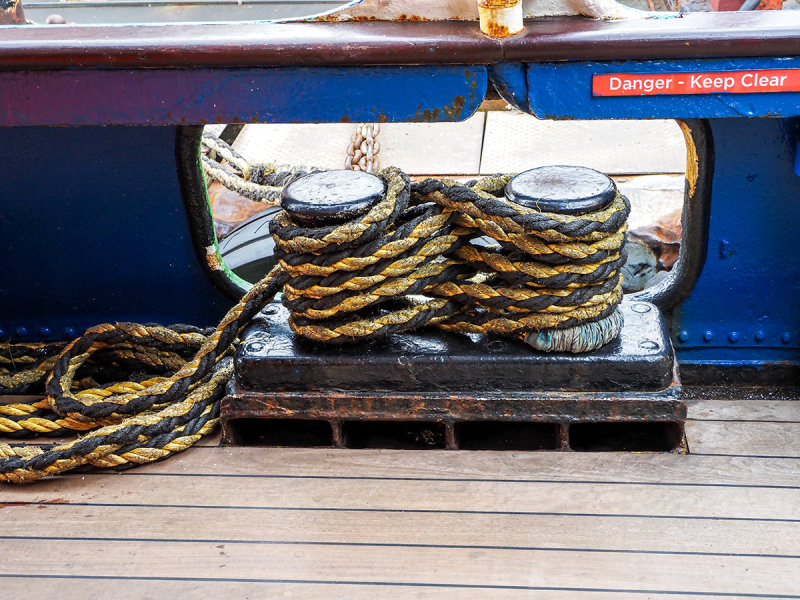 199_OM301878.JPG