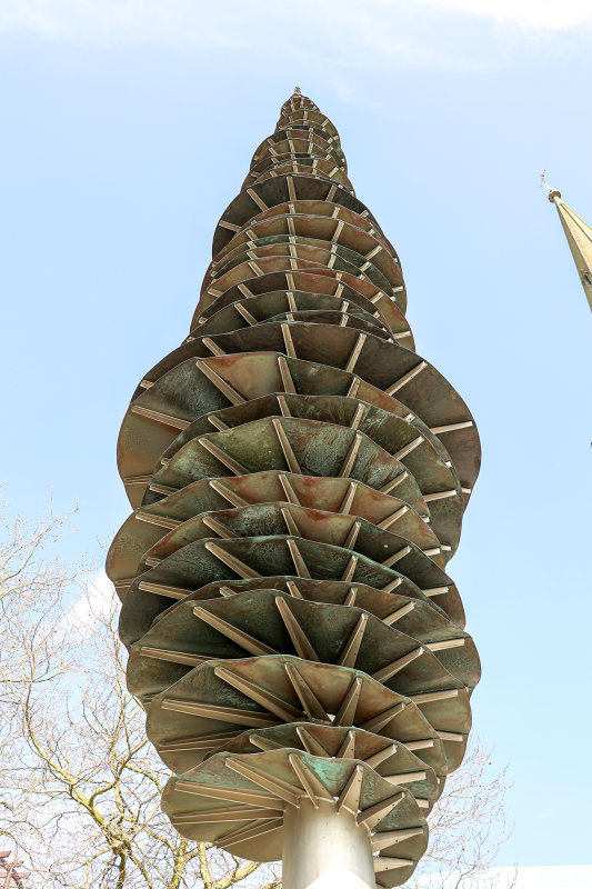 RF062935.JPG