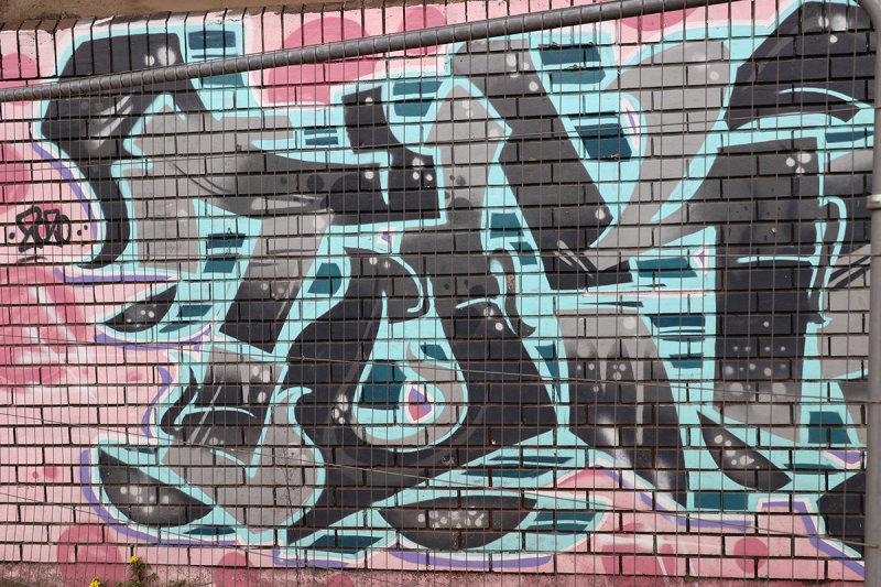 RF064097.JPG