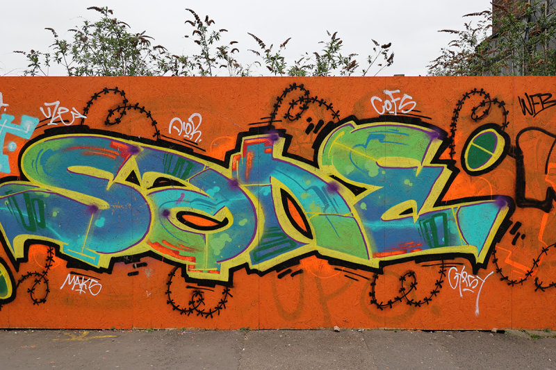 RF064150.JPG