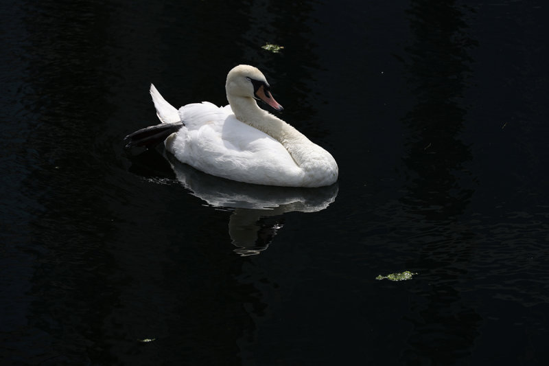 0087_RF069899.JPG