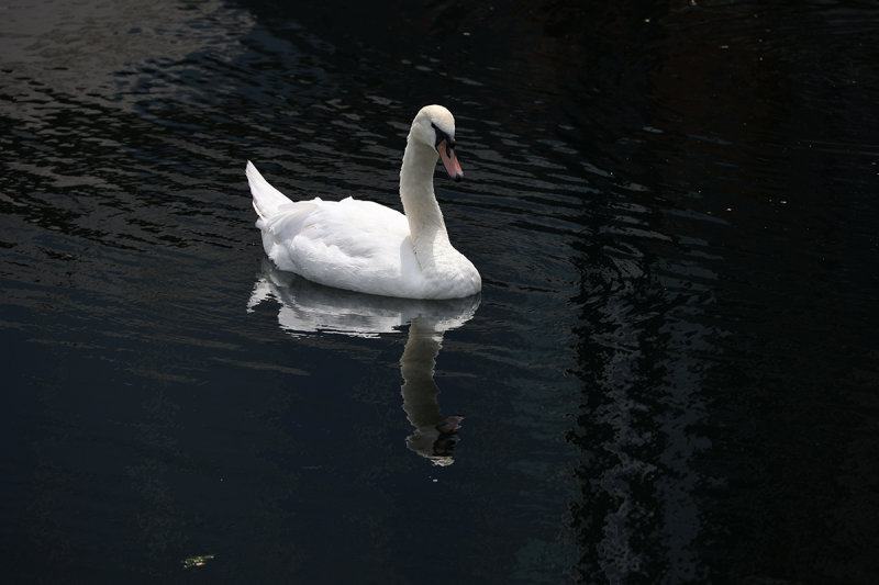 0088_RF069902.JPG