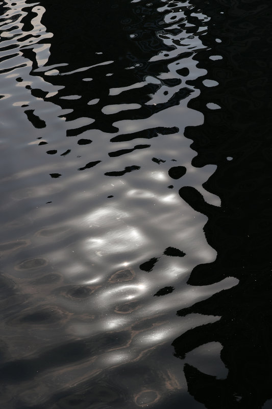 0357_RF060208.JPG