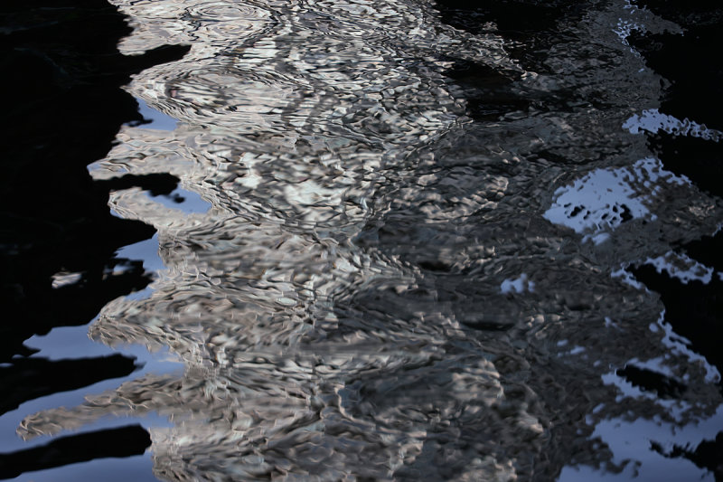 0364_RF060215.JPG