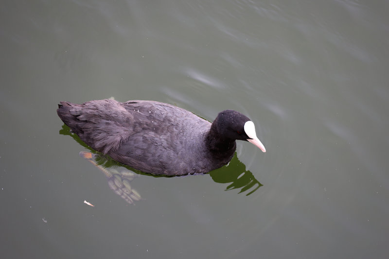 0386_RF060507.JPG