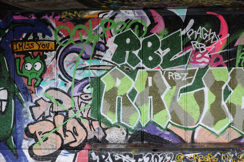 0679_RF061134.JPG