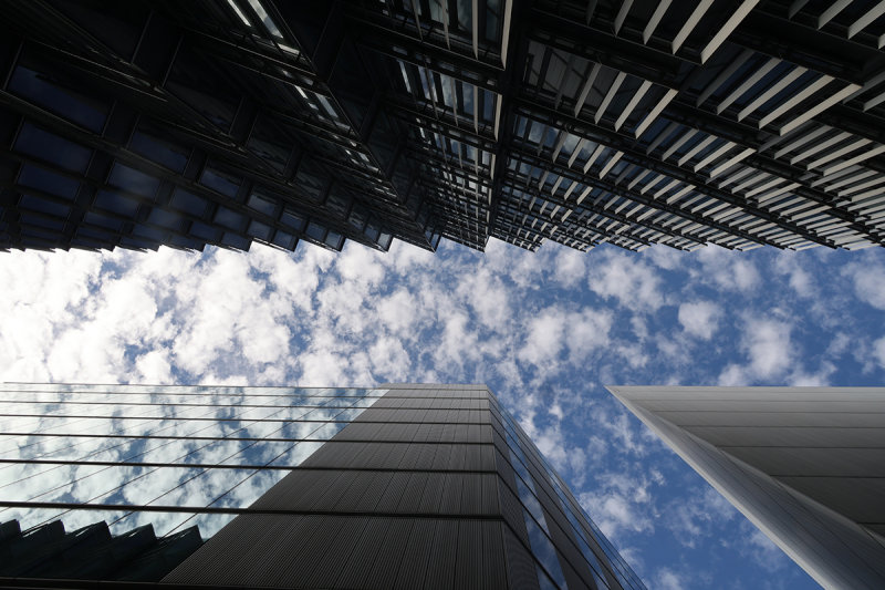 0815_RF061447.JPG