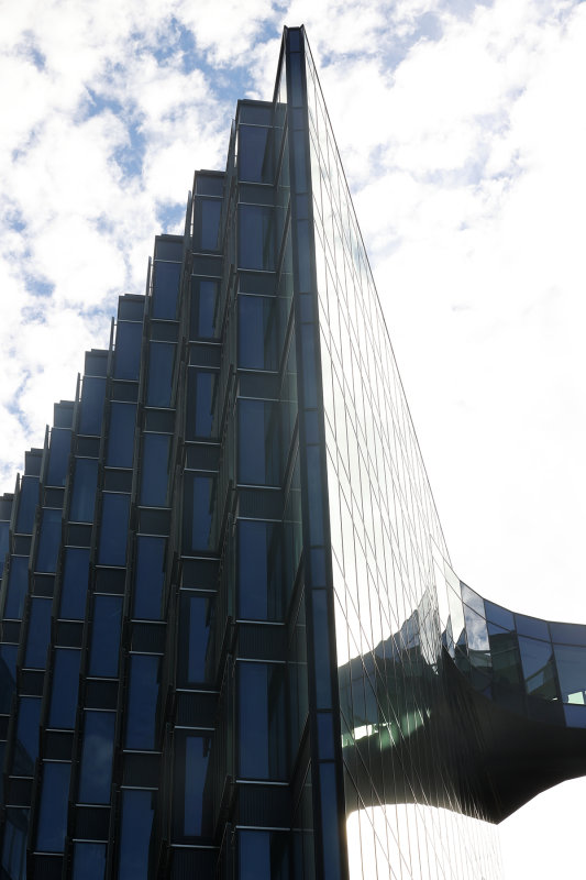 0826_RF061458.JPG