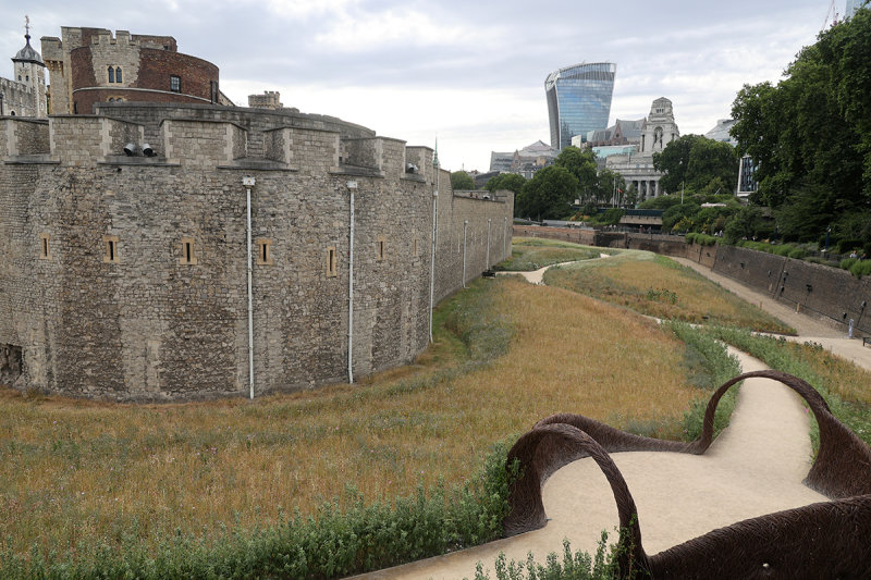 0899_RF061539.JPG