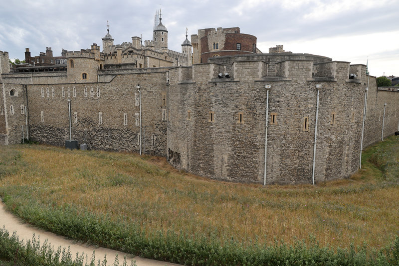 0900_RF061540.JPG