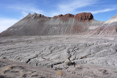 Painted desert_DSC03067