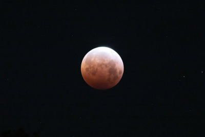 Lunar Eclipse