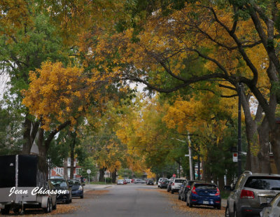 Promenade en automne dans ma ville  à Québec 2020 / Fall walk in Quebec city 2020