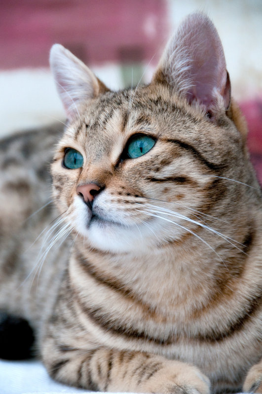 DSC_4725.jpg