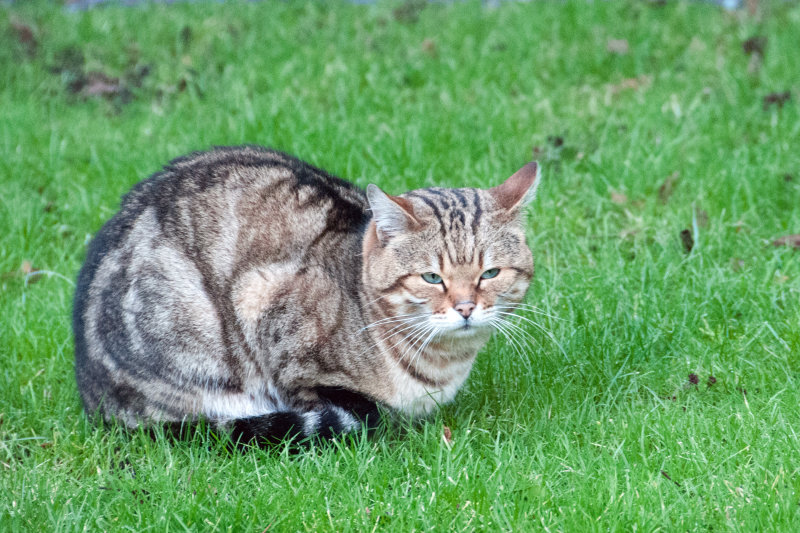 DSC_6095.jpg