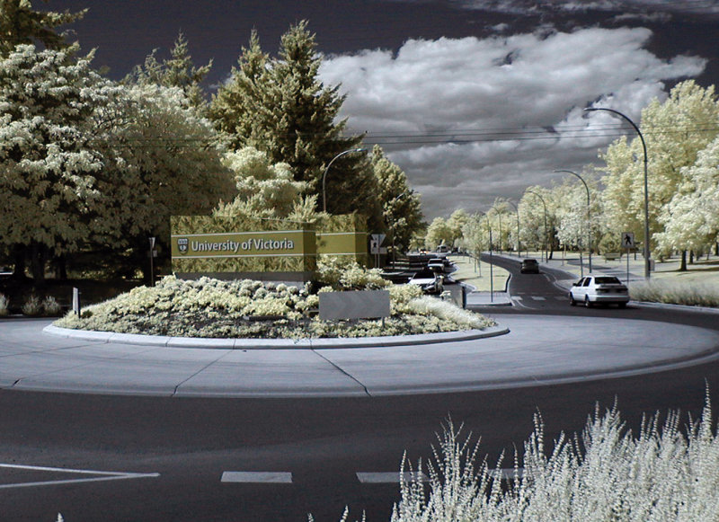 The Infrared Campus