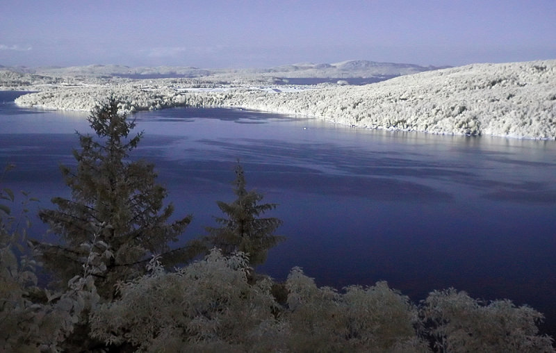 Various Infrared Photography