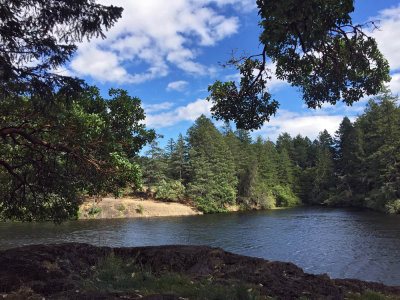 Thetis Lake