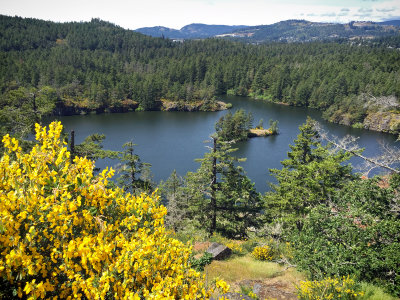 Thetis Lake