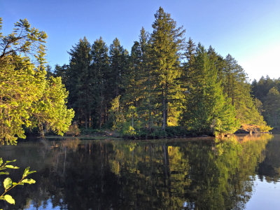 Thetis Lake