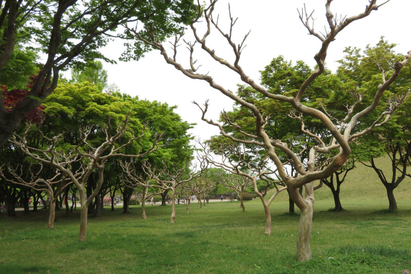 Tumuli Park