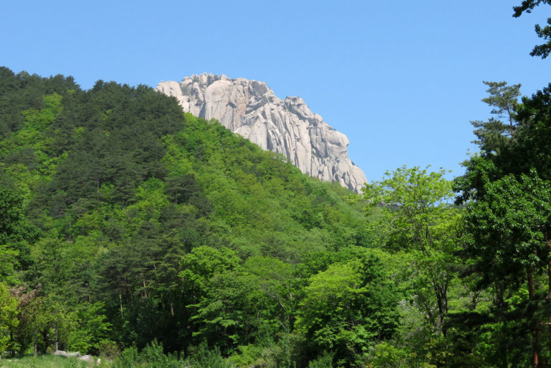 IMG_9653.JPG
