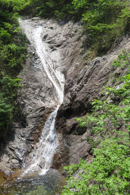 IMG_9789.JPG
