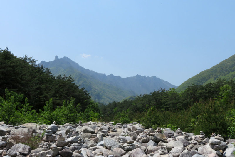 IMG_9798.JPG