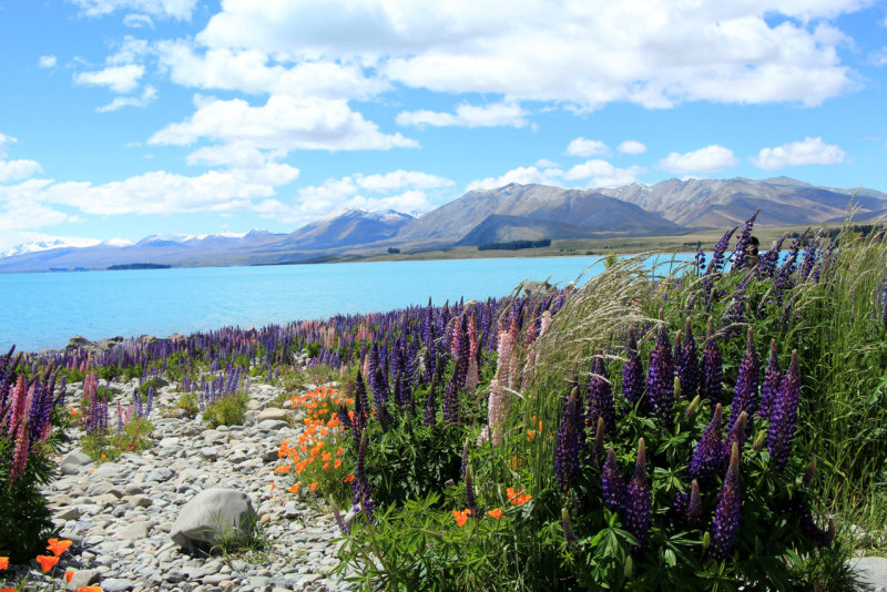 Lake Tekapo