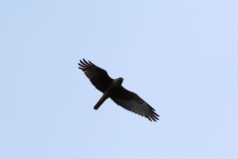 IMG_0885.JPG