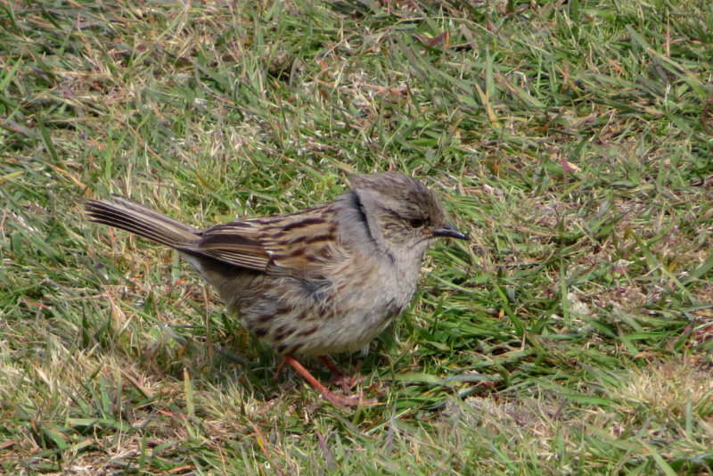 IMG_3151.JPG