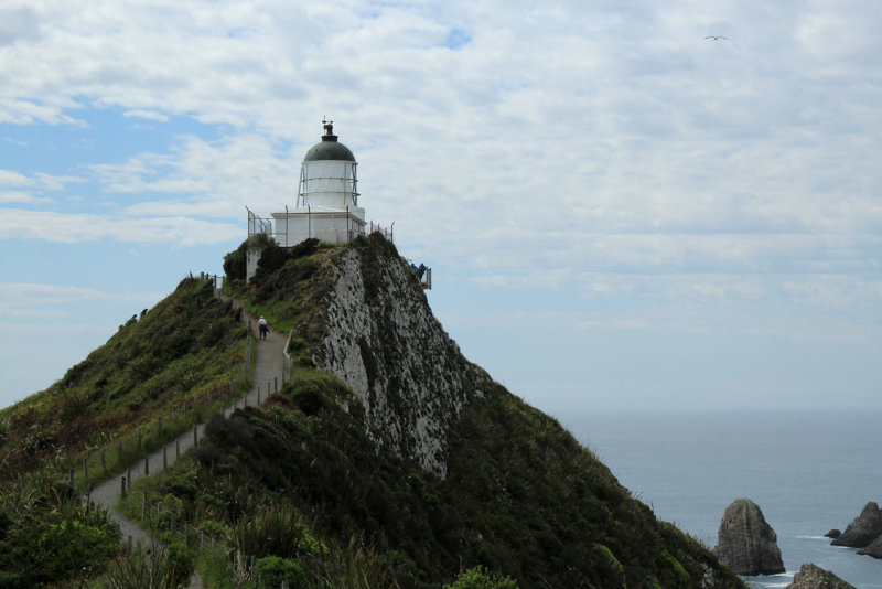 Nugget Point