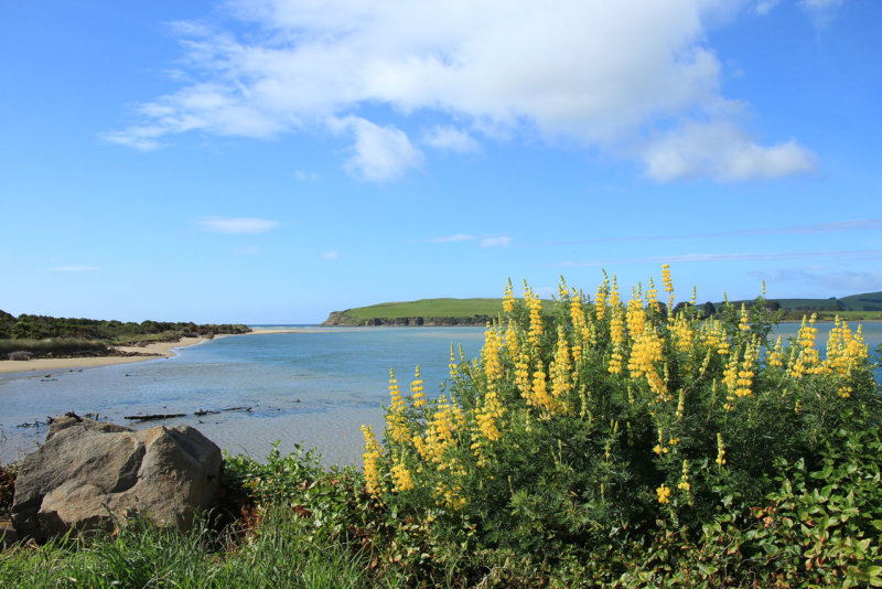 Surrat Bay