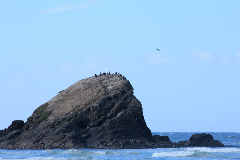 Surrat Bay