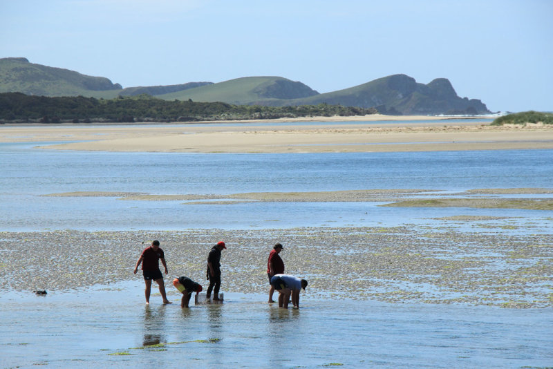Surrat Bay