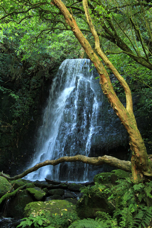 MacLean Falls