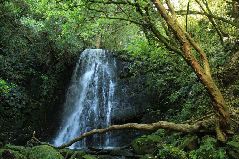 MacLean Falls