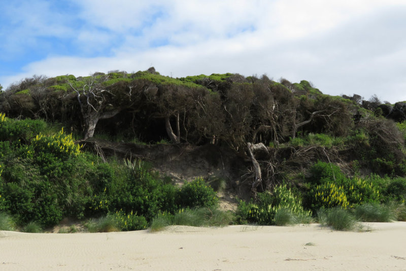 Surrat Bay