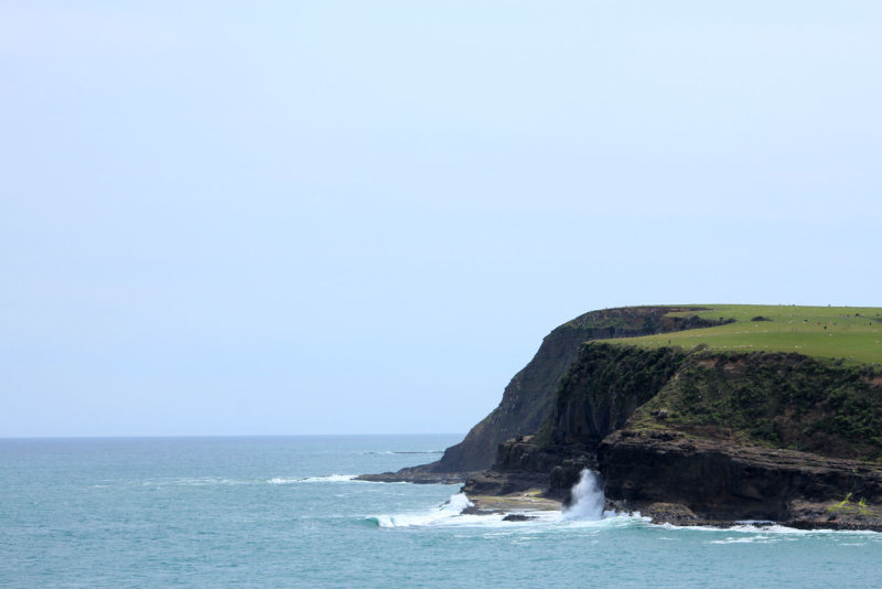 Curio Bay