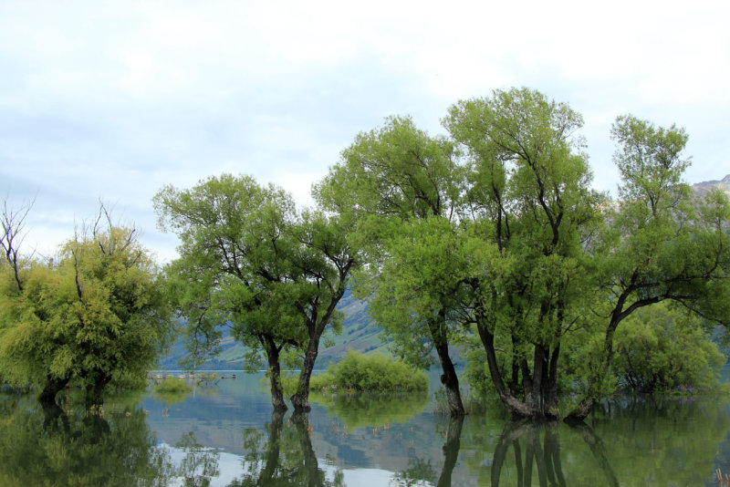 Glenorchy